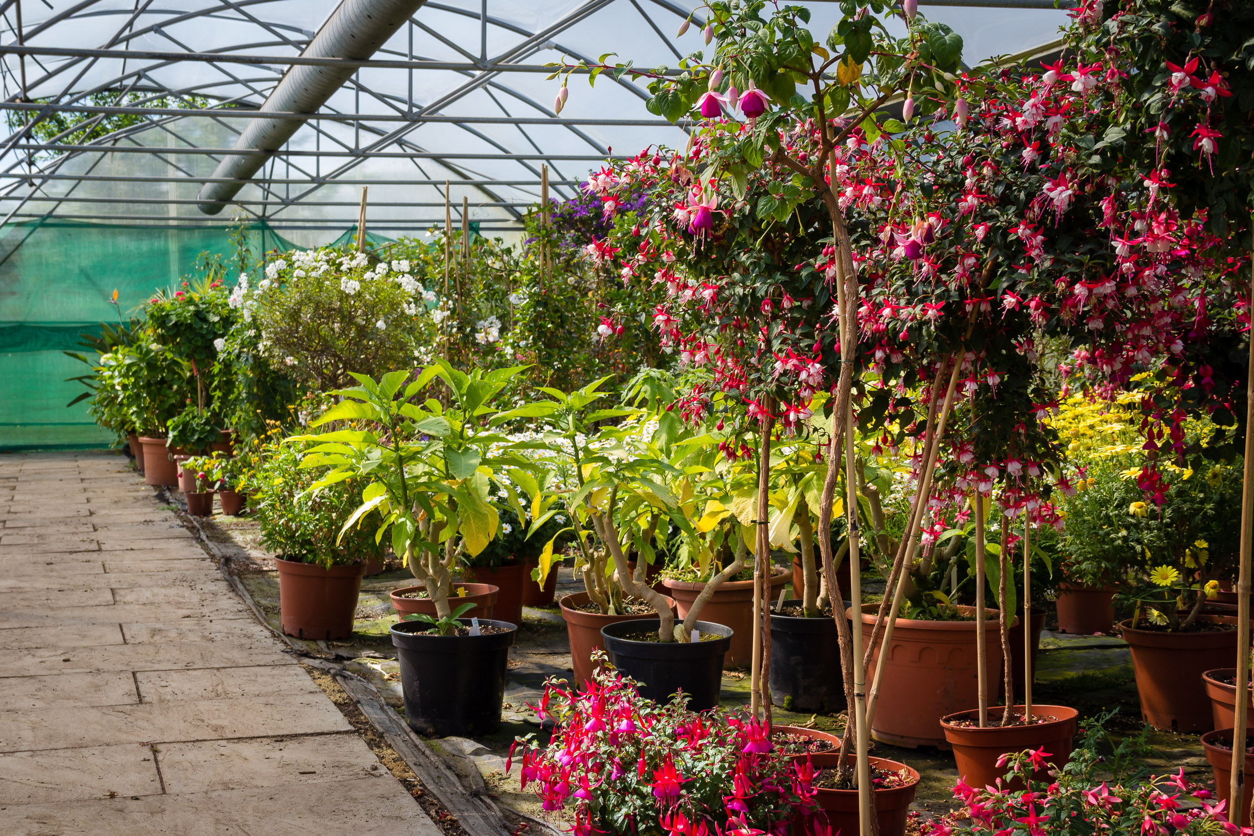 Gärtnerei Bazenheid