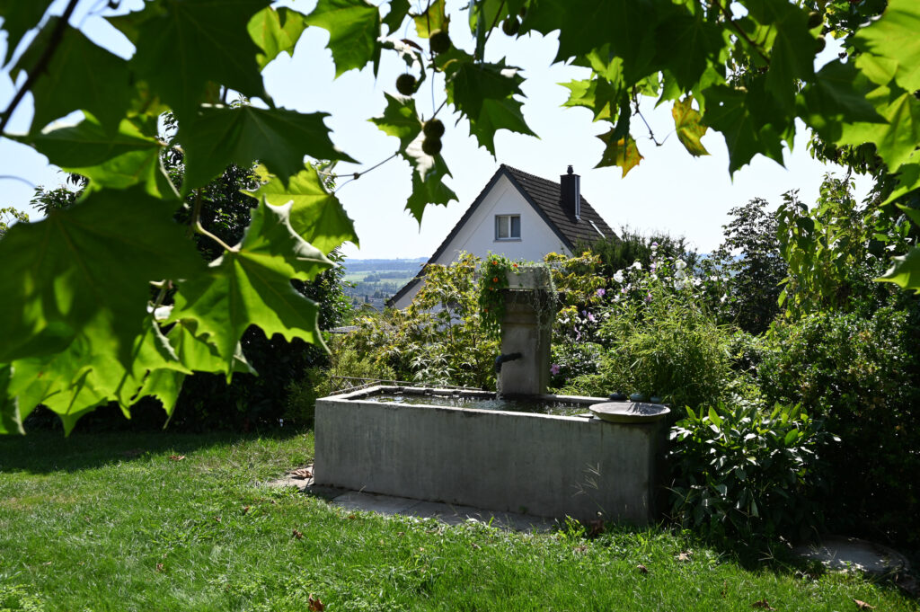 Brunnen